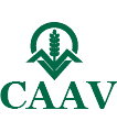 CAAV