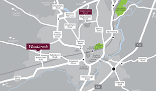 Magheraleve Meadows, Lisburn Map