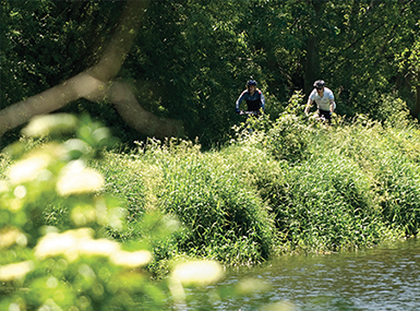 Towpath - Woodbrook, Lisburn