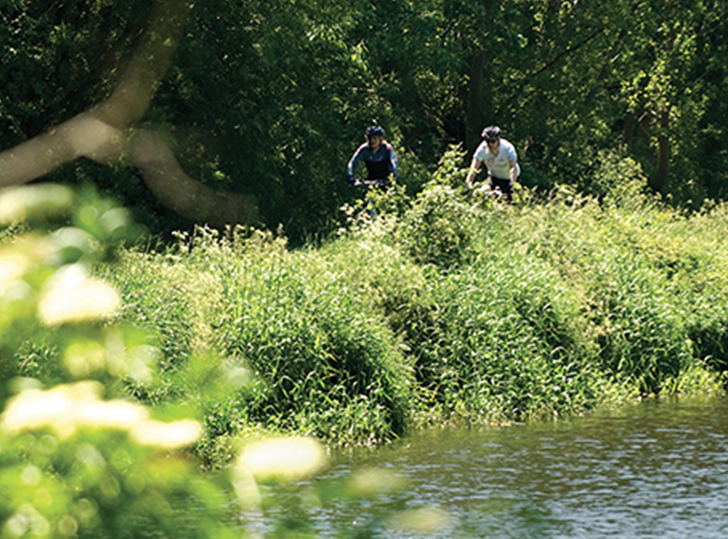 Towpath - Woodbrook, Lisburn