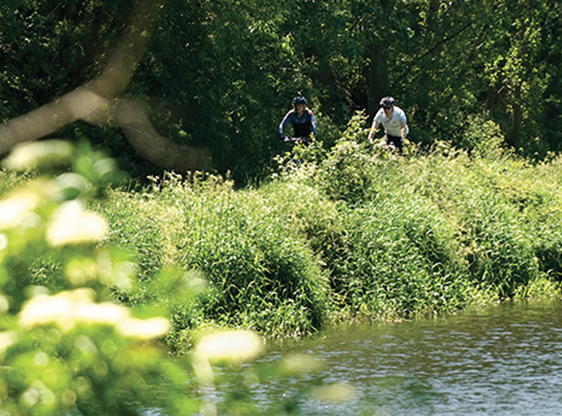 Towpath - Woodbrook, Lisburn