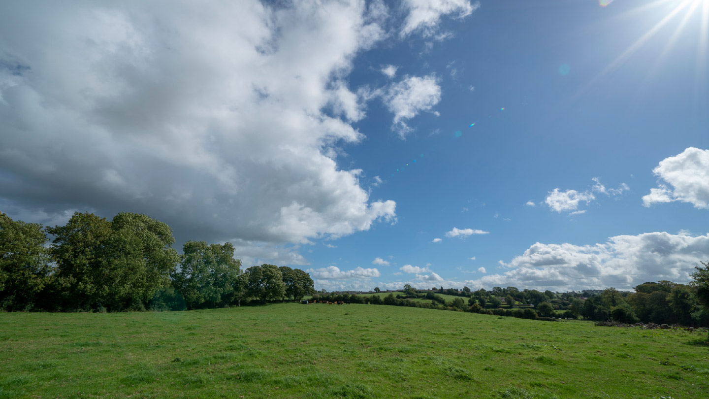Deanery Demesne, Armagh