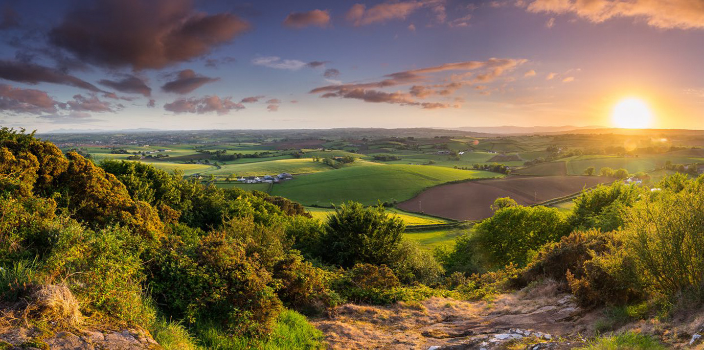 Ashgrove, Comber