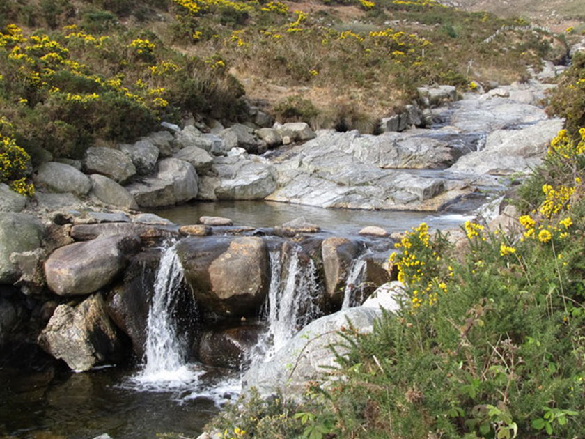 Shimna Mile, Newcastle