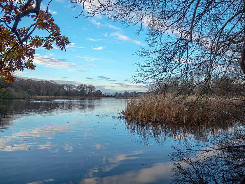 Lurgan Park