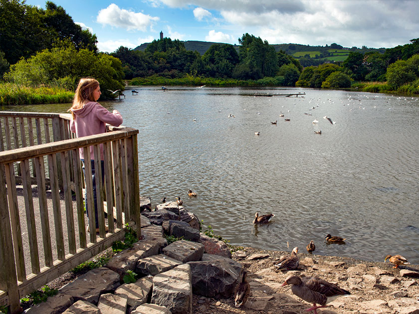 Beverley Garden Village, Newtownards