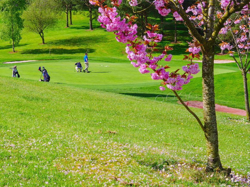 Wallace Gardens, Lisburn