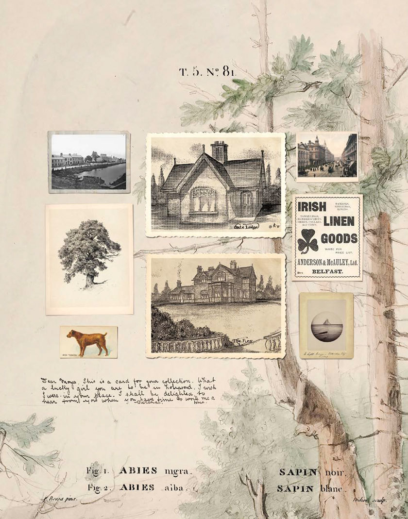 The Firs, Holywood