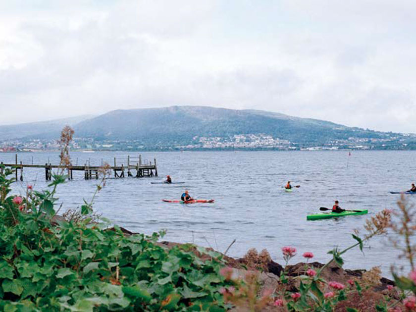 The Firs, Holywood