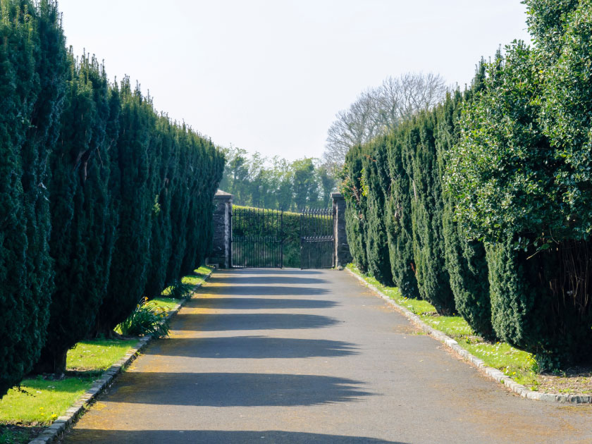 Glenavon Avenue, Lurgan