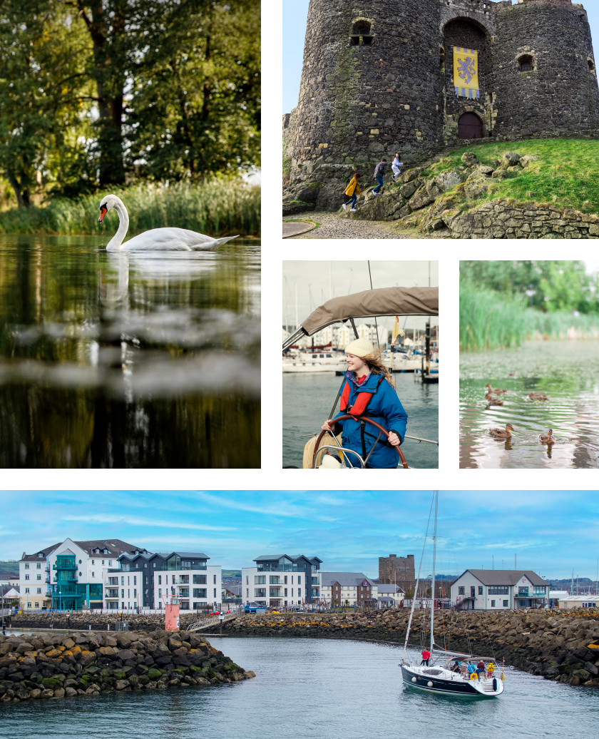 Bashford Gate, Carrickfergus