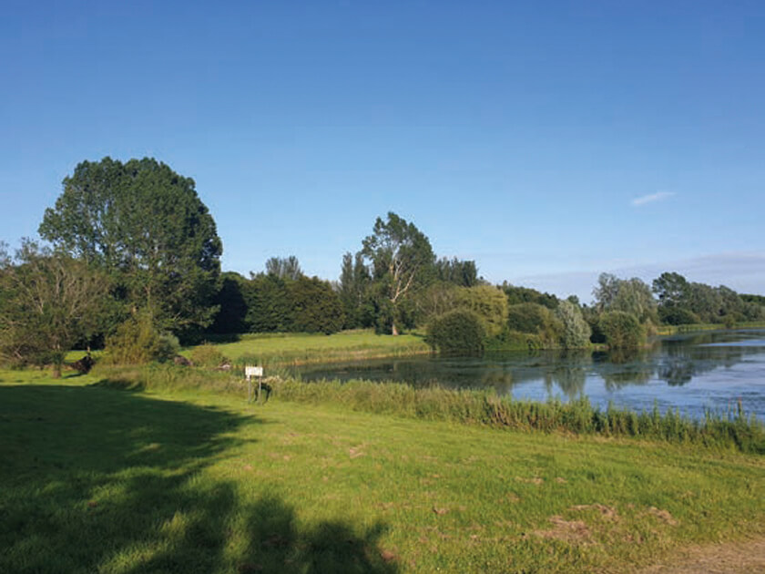 Bellfield Park, Portadown