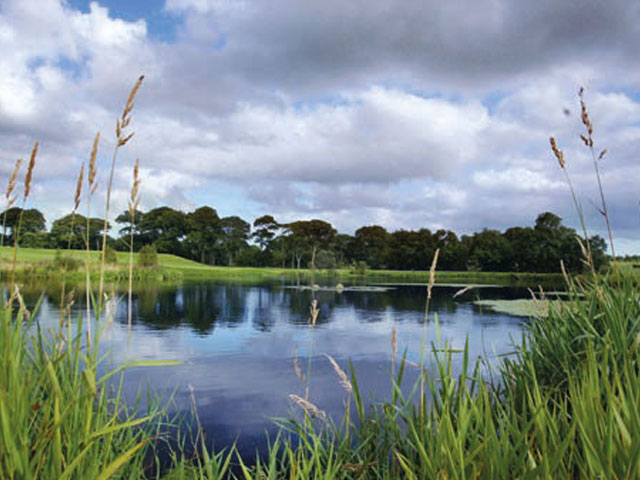 Gracehill Golf Course