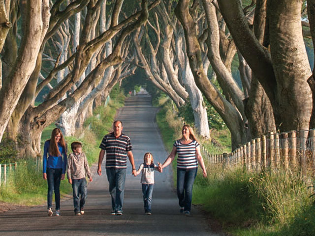 The Dark Hedges