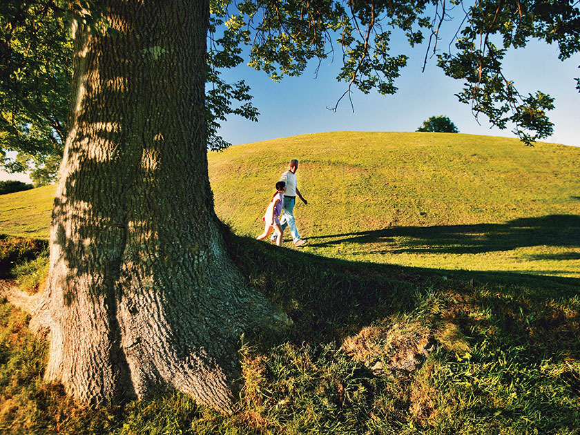 Drumman Meadows, Armagh