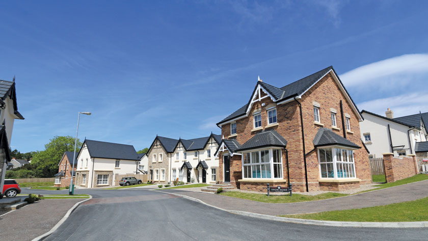 Drumman Meadows, Armagh